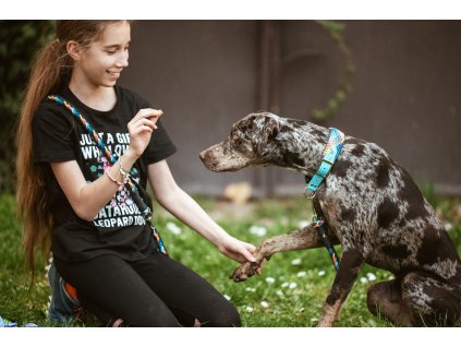 Hypoallergene Leckerlis für Hunde