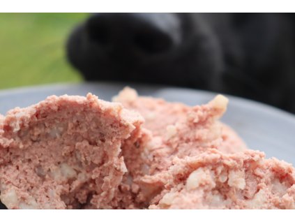 Renal-Hundenassfutter mit Huhn und Schwein