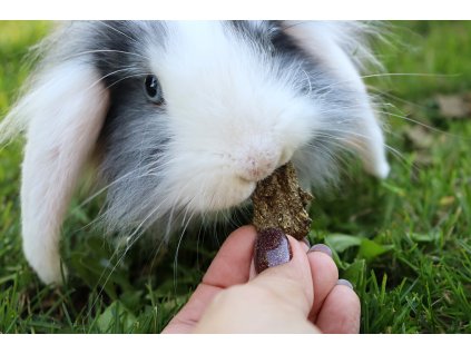 Ballaststoffreiche Leckerlis für Kaninchen