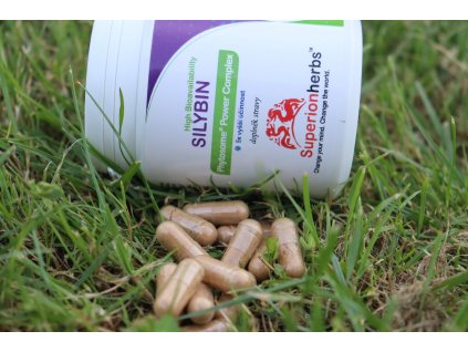 Superdistel für Hunde – Silybin  skupina ''A, B, C, D, E''
