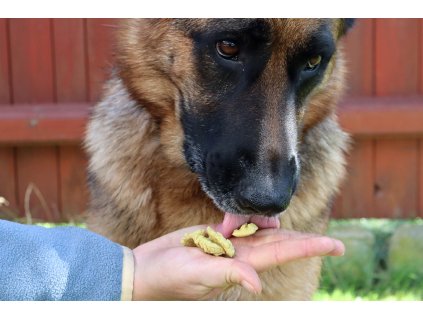 Madame Walli Leckerlis