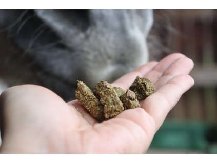 Kurkuma-Leckerlis für Pferde