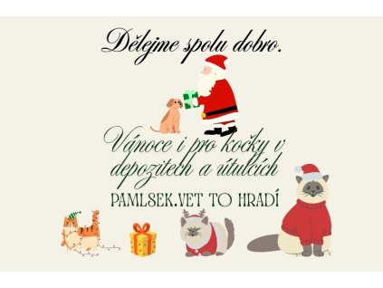 Kočičí Vánoce