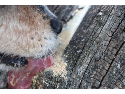 Kachní renal pamlsky pro psy