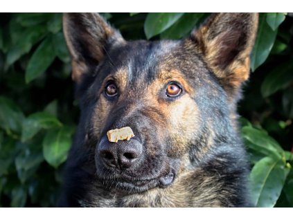 Grieben-Leber-Leckerlis für Hunde  skupina ''B''