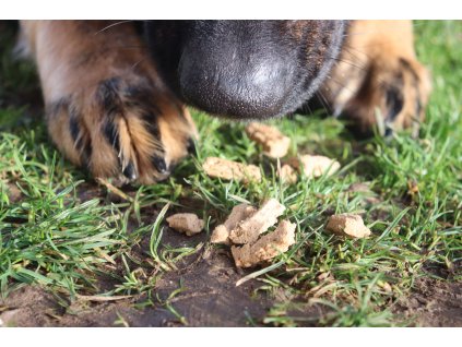 Hepren Hundeleckerlis  skupina ''C a E''