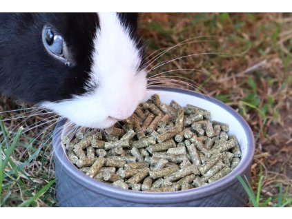 Pellets für Kaninchen und Nagetiere