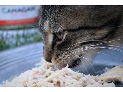 CANAGAN CAT kuře a sardinka