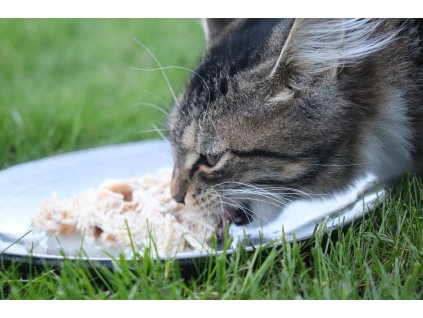 AMORE KONSERVE – Huhn