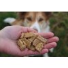 Gourmet-Leckerlis für Hunde