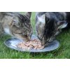 CANAGAN Katze Thunfisch und Krabbe