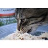 CANAGAN Katze Huhn und Sardine