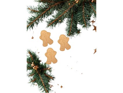 Koriandrové perníčky