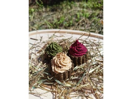 619182342 927135116654502 8660565780271379363 n