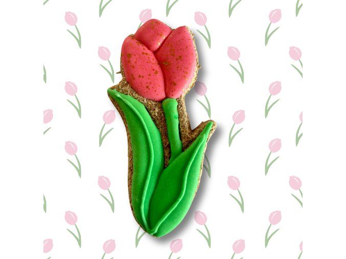 tulipanik