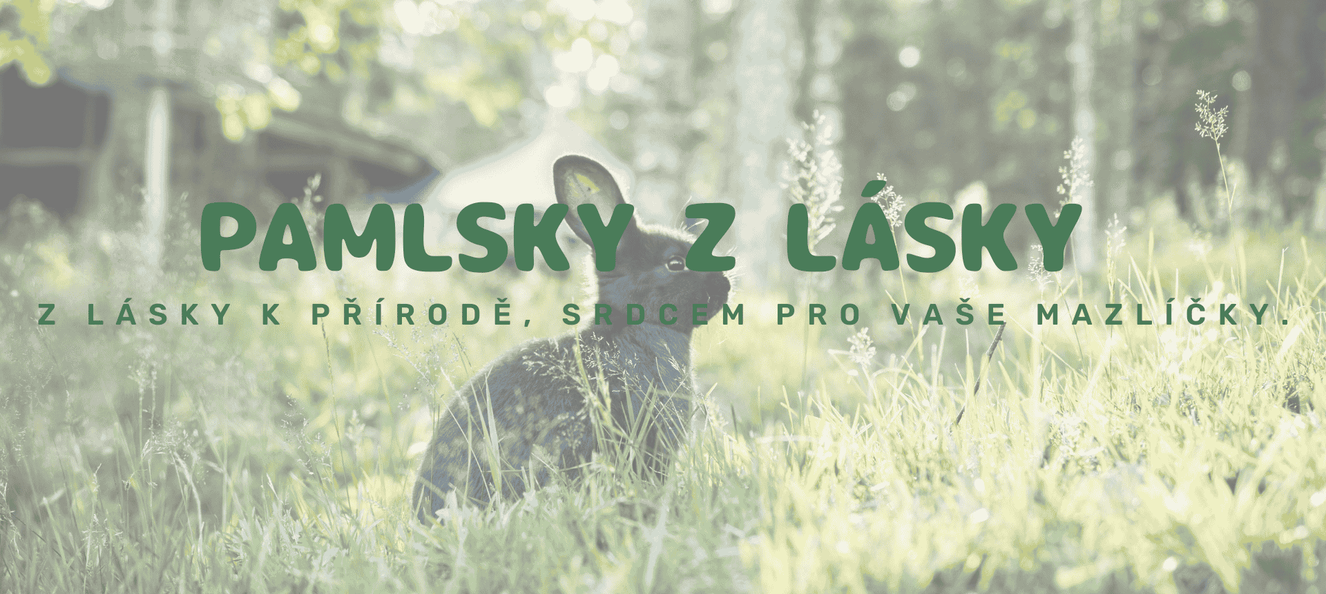 Objevte ručně vyráběné pamlsky a hračky z přírody pro králíčky a hlodavce. Pamlsky z lásky – srdcem tvořené, z lásky k přírodě i vašim mazlíčkům.