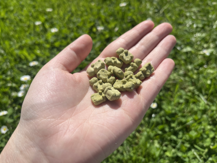 tempImagec0bMHi