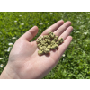 tempImagec0bMHi