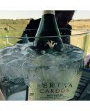 Bertha 4
