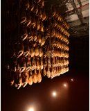 Juan Pedro Domecg image (3)