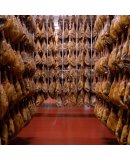 Juan Pedro Domecg image (12)