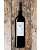 closdetalafall 1024x1536