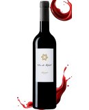 Clos de Tafall converted