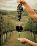 LeoGoat10wine (5)