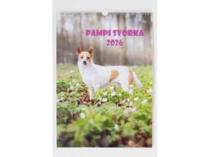 P1083729 Enhanced NR