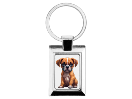 boxer