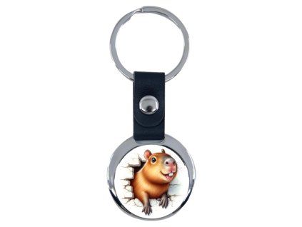 kapybara zeď