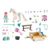 Isabella & Lioness mycí box PLAYMOBIL 71354