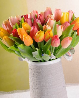 Krásné tulipány skladem v akci - vyprodány