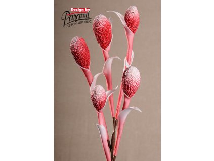 Dekorativní květina rákos červená - Paramit - 3-53R