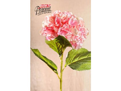 Dekorativní květina hortenzie světle růžová - Paramit - F105-P1