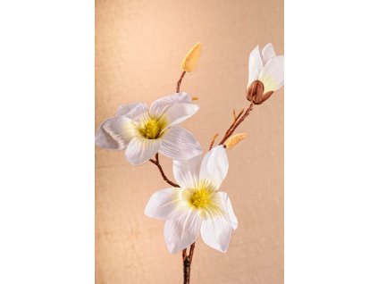 3 88W Aranžovací květina magnolie bílá 70 cm