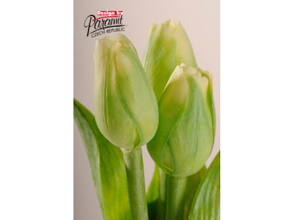 Dekorativní květina francouzský tulipán zelená - Paramit - 107G