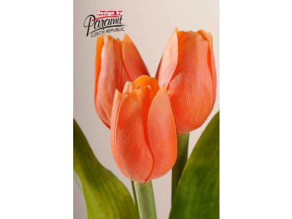 Dekorativní květina francouzský tulipán oranžová - Paramit - 107O