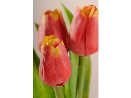 107R Francouzský umělý tulipán červeno žlutý 40 cm