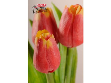 Dekorativní květina francouzský tulipán červeno žlutá - Paramit - 107R