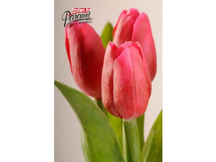 Dekorativní květina francouzský tulipán sytě červená - Paramit - 107R2