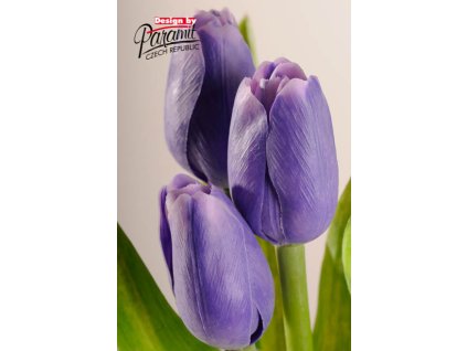 Dekorativní květina francouzský tulipán světle fialová - Paramit - 107V1