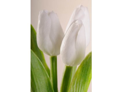 107W1 Francouzský umělý tulipán světle bílý 40 cm