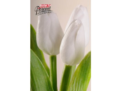 Dekorativní květina francouzský tulipán světle bílá - Paramit - 107W1