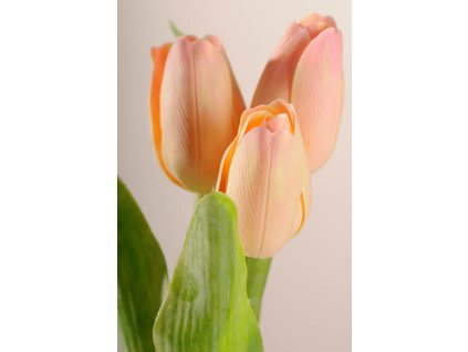 107A1 Umělý tulipán světle broskvový 40 cm