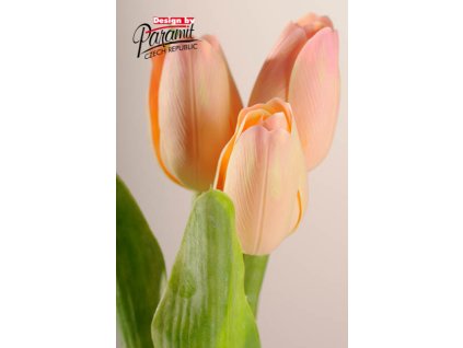 107A1 Francouzský tulipán světle broskvový 40cm