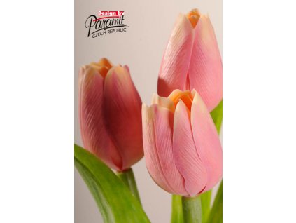 107A2 Francouzský tulipán tmavě broskvová 40cm