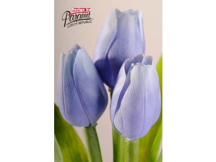 107B1 Francouzský tulipán světle modrý 40cm