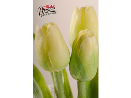 107G1 Francouzský tulipán světle zelený 40cm