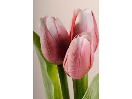 107P4 Francouzský umělý tulipán tmavě růžovo bílý 40 cm